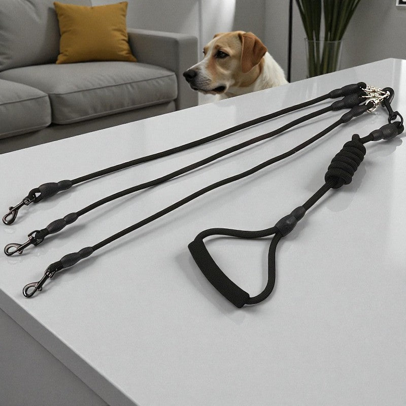 le cocon de marie laisse chien