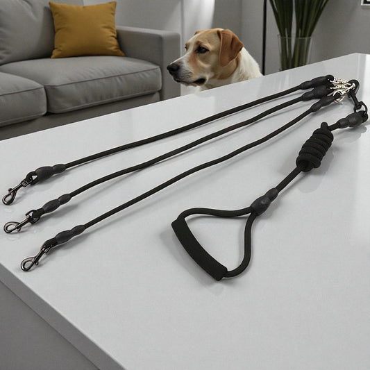 le cocon de marie laisse chien